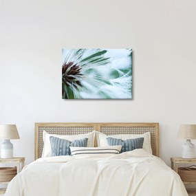 Tablou - Detaliu floare (70x50 cm)