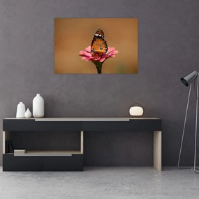 Tablou cu fluture pe floare (90x60 cm)