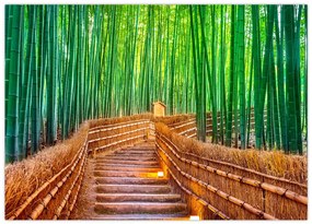 Tablou pe sticlă - Pădure de bambus japoneză (70x50 cm)