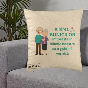 Cadou pentru Bunici - Perna Personalizata Bunicii Iubirea Infloreste Cuplu Senior Teal, 40x40 cm, Bej, Husa Detasabila, Perna Inclusa, BEKZ®