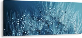 Tablou - Picături de rouă (120x50 cm)