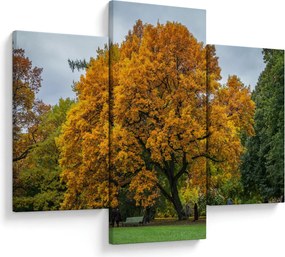 Tablou cu copac (90x60 cm)