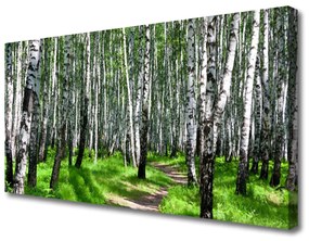 Tablou pe panza canvas Copaci Iarbă Natura Negru Alb Verde