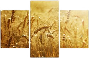 Tablou - Spice de cereale (90x60 cm)