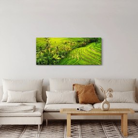 Tablou - Terase de orez (120x50 cm)