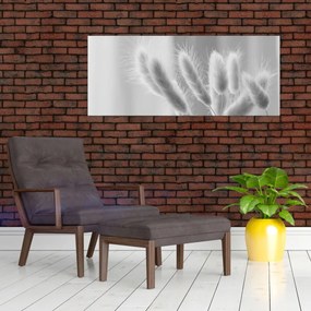 Tablou - Iarbă de coadă de iepure (120x50 cm)