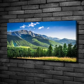 Print pe canvas Dealul din tatra