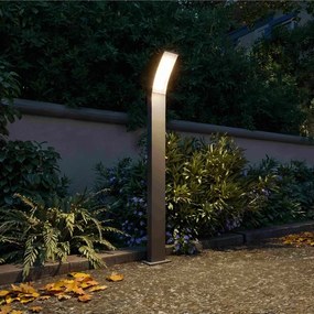 Philips - Lampă LED de exterior SPLAY LED/4,3W/230V 2700K 96 cm IP44