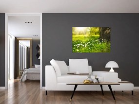 Tablou cu poiana și flori (90x60 cm)
