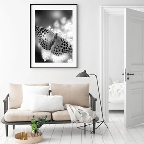 Poster - Fluture (A4)