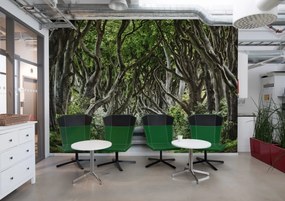 Fototapet, Magical Alley, Rebel Walls