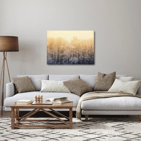 Tablou cu pădure geroasă (70x50 cm)