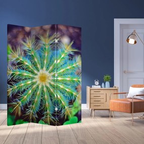 Paravan - Cactus (126x170 cm)