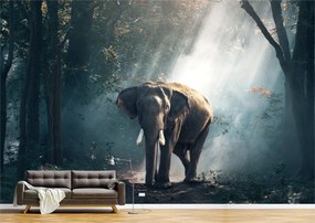 Tapet Premium Canvas - Elefantul din padure