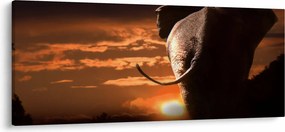 Tablou cu elefant (120x50 cm)