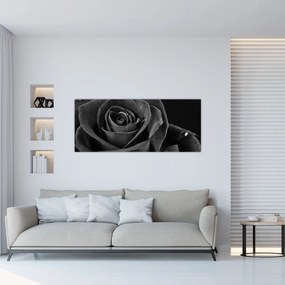 Tablou - Trandafir roșu aprins (120x50 cm)