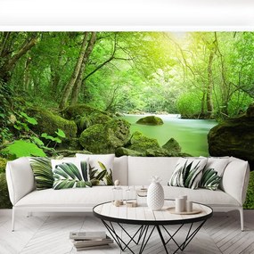 Fototapet River Forest