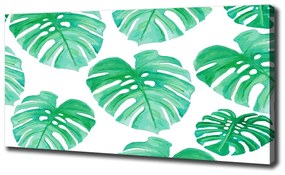 Tablouri tipărite pe pânză Monstera