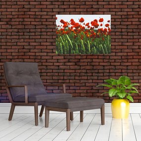 Tablou - Maci în vânt (70x50 cm)