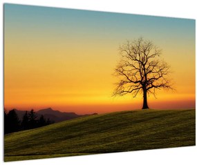Tablou - Copacul în câmp (90x60 cm)