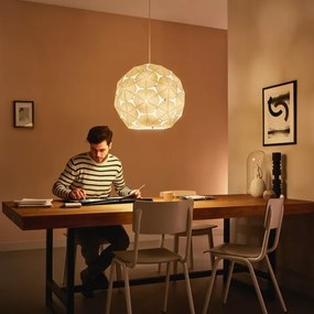 Philips 40914/21/PN - Lustră pe cablu MYLIVING CORKWOOD 1xE27/60W/230V