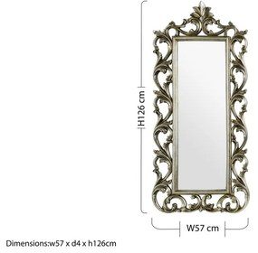 Oglindă de perete 57x126 cm Champagne – Premier Housewares