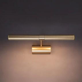 Brilagi - Lampă pentru tablouri DANAE 2xE14/40W/230V, auriu