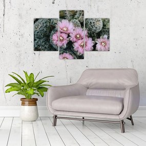 Tablou floare de cactus (90x60 cm)