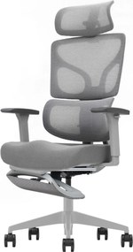 ERGO D-GT5-GHL-04 – Scaun Ergonomic Premium, Suport Lombar cu arc, Cotiere 3D, Tetieră reglabilă, Șezut Glisant, Suport pentru picioare extensibil, Gri
