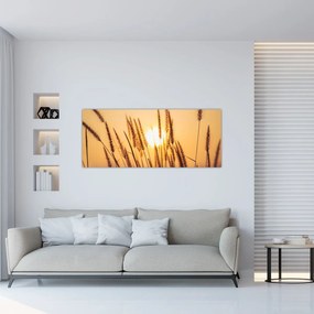 Tablou - Iarbă la soare (120x50 cm)