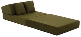 Fotoliu extensibil Plantearan (măslin) . 1116443