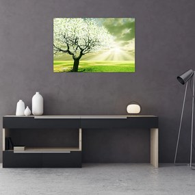 Tablou cu copaci pe luncă (90x60 cm)