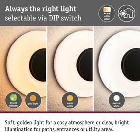 Paulmann 94955 - LED/20,5W IP65 Aplică de perete pentru exterior reglabilă AUREVA 230V