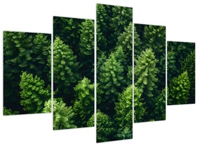 Tablou - Pădure (150x105 cm)