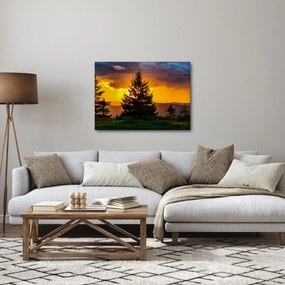 Tablou - coniferi (70x50 cm)