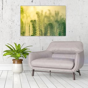 Tablou - Detaliu de primăvară natura cețoasă (90x60 cm)