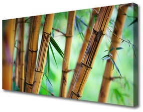 Tablou pe panza canvas Bamboo Natura Galben