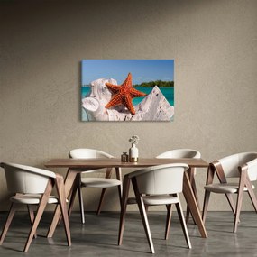 Tablou cu stea de mare (90x60 cm)