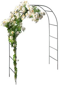 anaterra Arcul de grădină pentru plante cățărătoare, 2 buc,