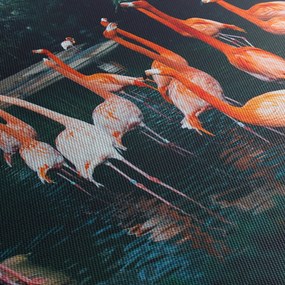 Tablou - turmă de flamingo (90x60 cm)