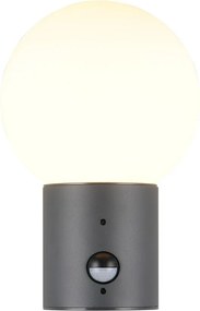 Corp de iluminat pentru exterior de perete cu senzor de mișcare ø 18 cm Mures – Trio