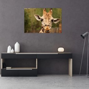 Tablou girafe (90x60 cm)