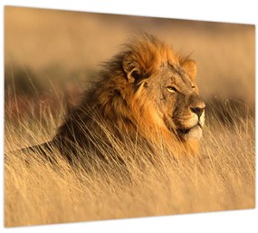 Tablou pe sticlă - Parcul Național Etosha (70x50 cm)