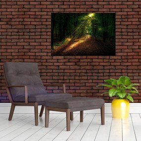 Tablou cu poteca prin pădure (90x60 cm)