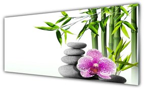 Tablouri acrilice Bambus Cane flori Stones Floral Verde Roz Gri