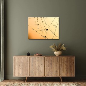 Tablou cu pânză de pâianjen cu rouă (70x50 cm)