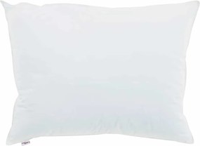 vidaXL Pernă cu pernă 2 pcs Alb 60 x 80 cm Bumbac