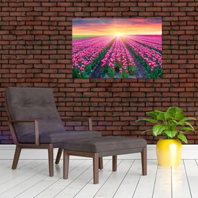 Tablou cu câmp de lalele cu soare (90x60 cm)