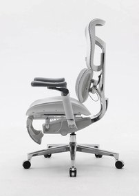 RESIGILAT- Scaun ergonomic SIHOO DORO S300 ADAPTIVE, cotiere 6D ultra moi, suport lombar adaptiv, spătar reglabil pe inaltime, mecanism multifunctional inclinare/blocare, pivotant, Mesh, Gri