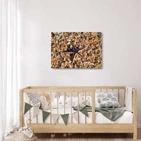 Tablou pe sticlă cu stea de mare (70x50 cm)